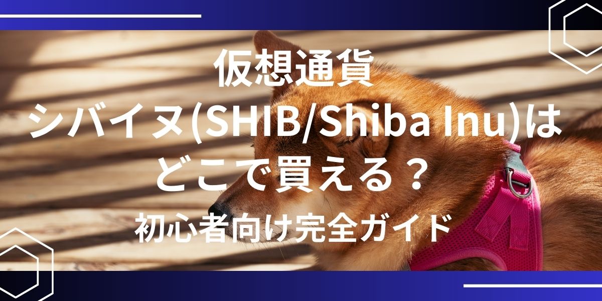 柴犬コインアイキャッチ